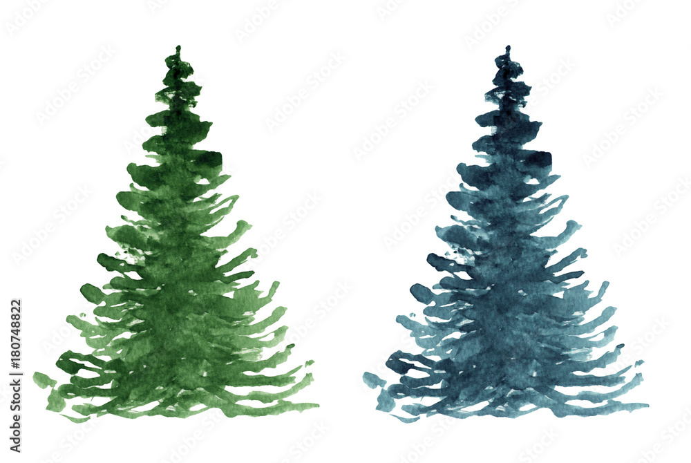 Obraz premium Fir tree. Watercolor hand drawn