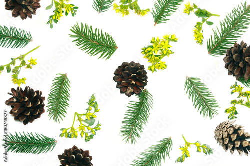 Christmas floral pattern fir brunches and pine cones on the white background