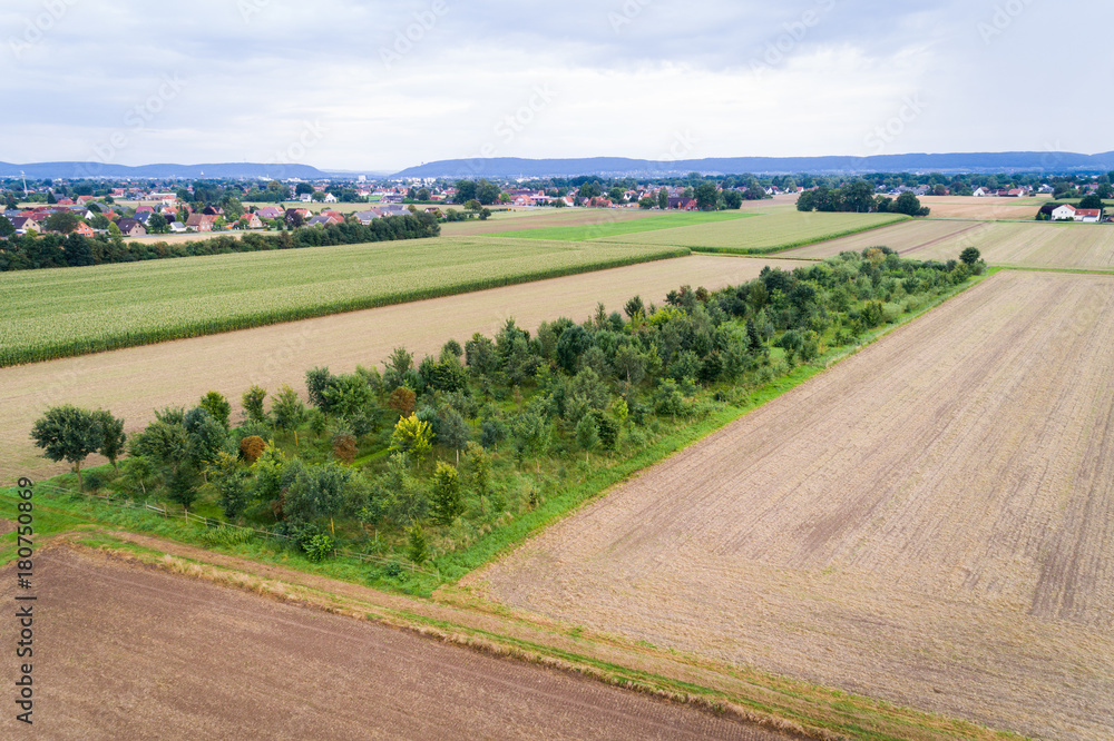 Luftaufnahme von Feldern im August