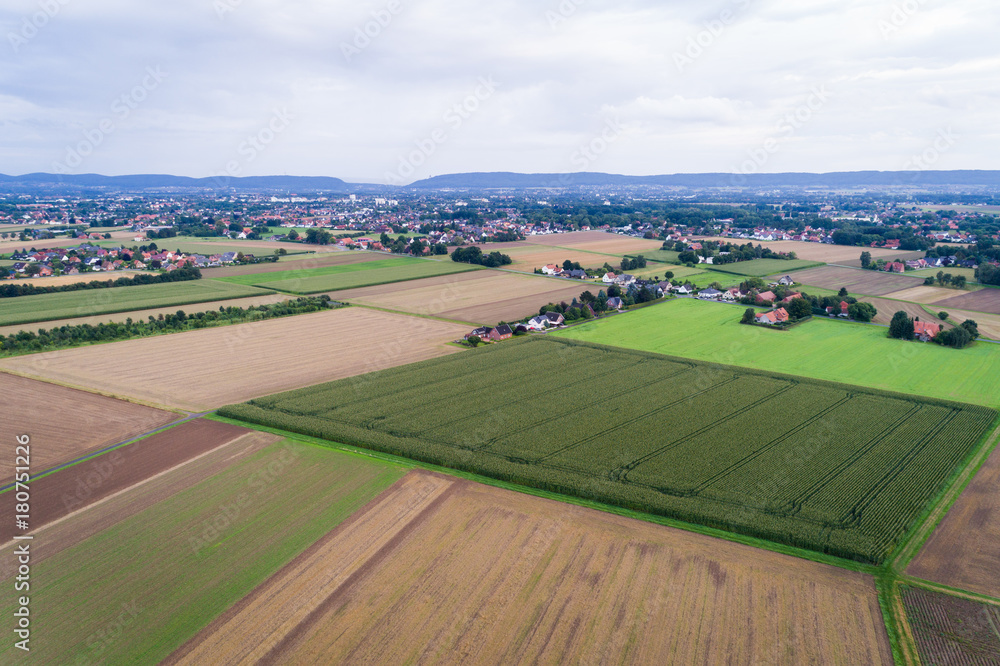 Luftaufnahme von Feldern im August