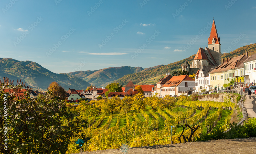 Weissenkirchen in der Wachau Austria vineyards in autumn - obrazy, fototapety, plakaty 