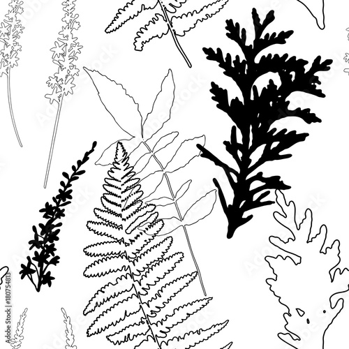 Floral vector seamless pattern with wild flowers, fern leaves and evergreen p...