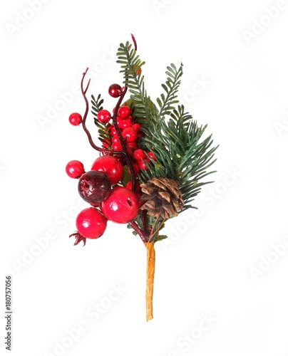 Christmas decorations: a branch of a Christmas tree, berries and cone