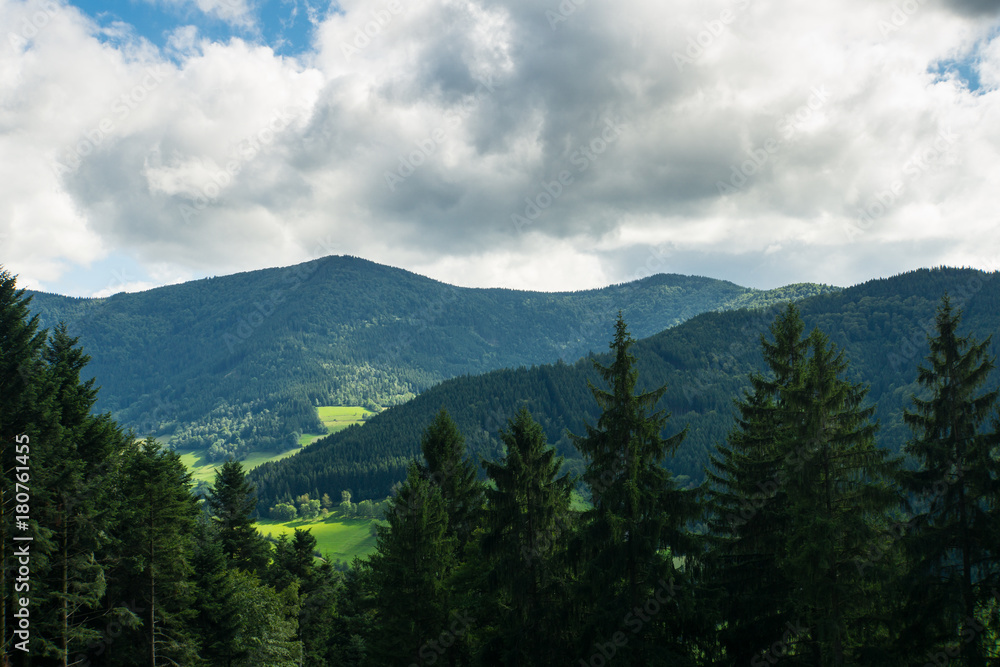 Mixed forest with tall conifers and endless wide canyons and mountains behind in the black forest