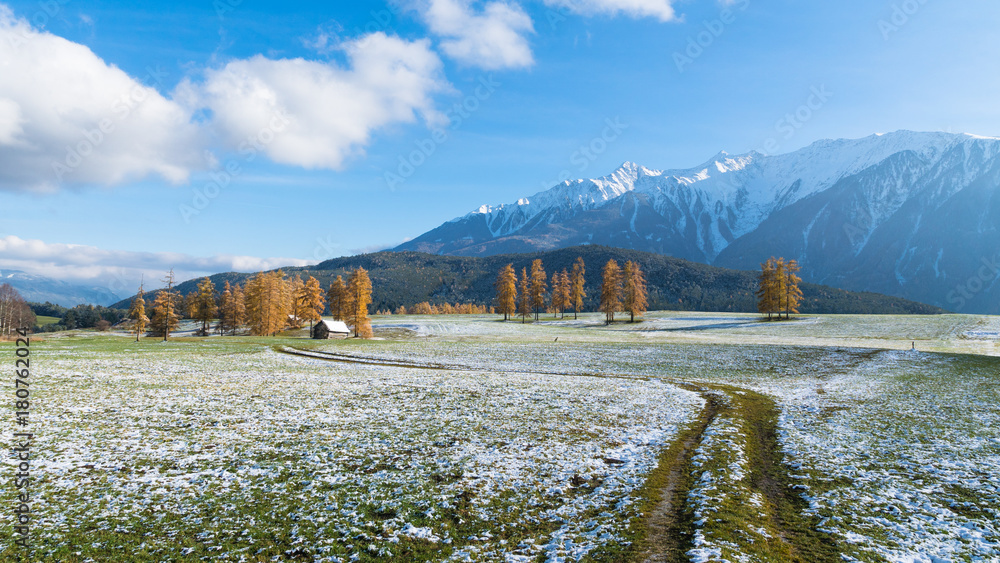 Baumgruppe mit Feldweg, kleiner Hütte und verschneiten Wiesen