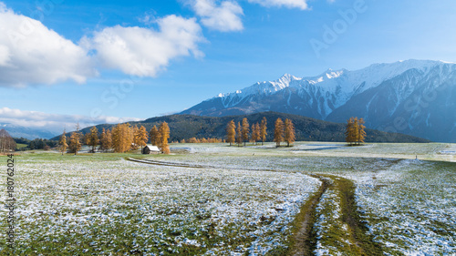 Obraz na płótnie Baumgruppe mit Feldweg, kleiner Hütte und verschneiten Wiesen w salonie