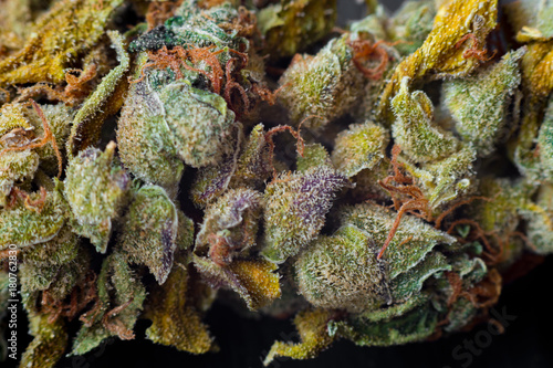 Macro photos of marijuana harvest cones with leaves covered with trichomes. The cannabis plant clse view. photo