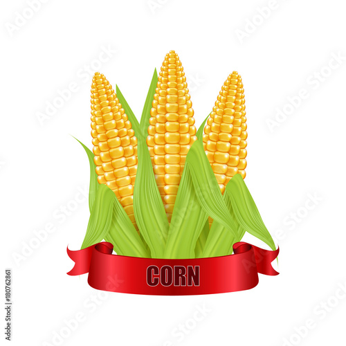 Ear of corn. Vector illustration with red ribbon on white background