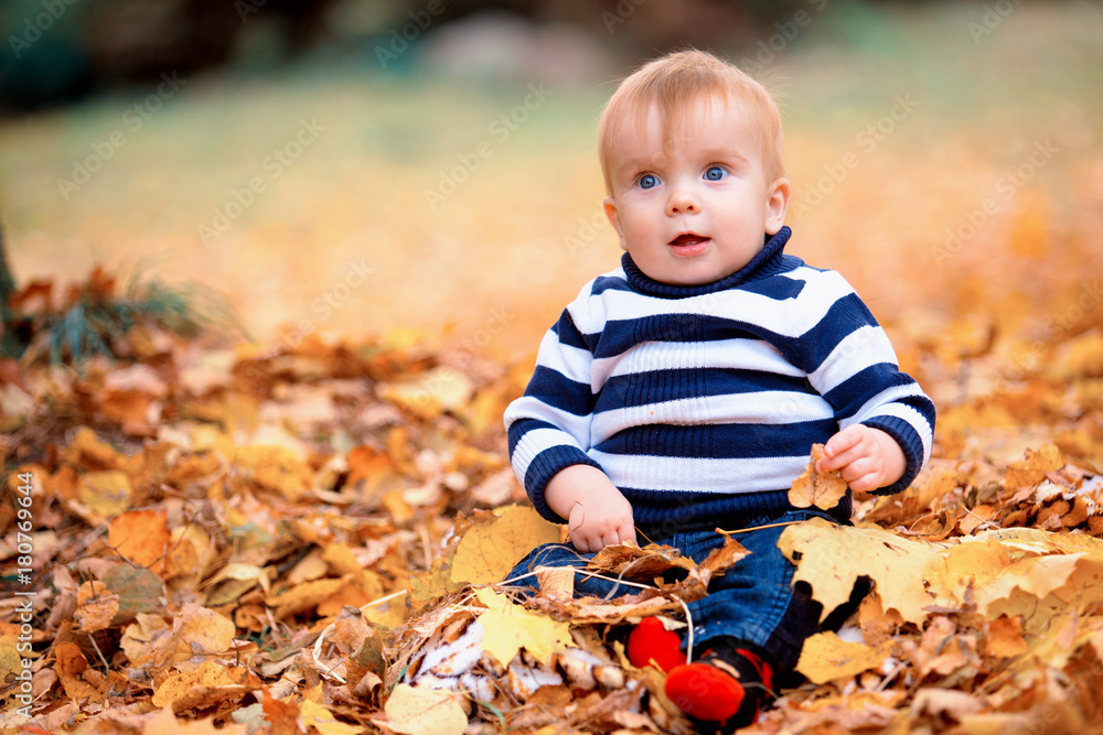 Little boy playing in yellow foliage. Autumn in the city park Little boy playing in yellow foliage. Autumn in the city park