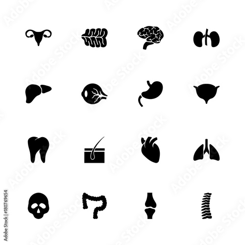 Organs icons - Expand to any size - Change to any colour. Flat Vector Icons - Black Illustration on White Background.