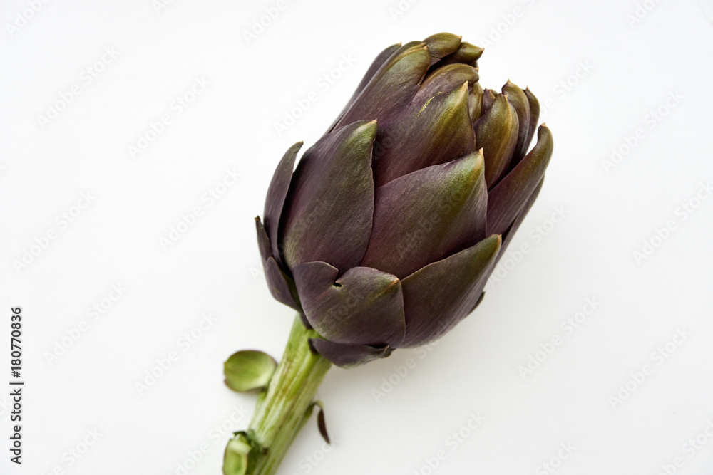 Obraz premium Artischocke