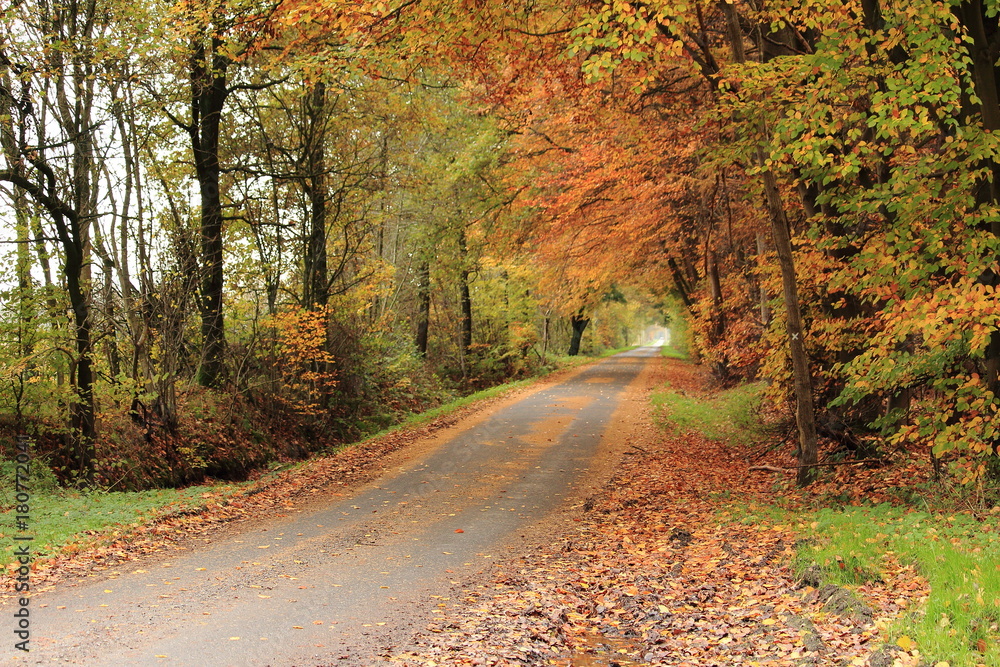 Ländliche Straße im Herbst