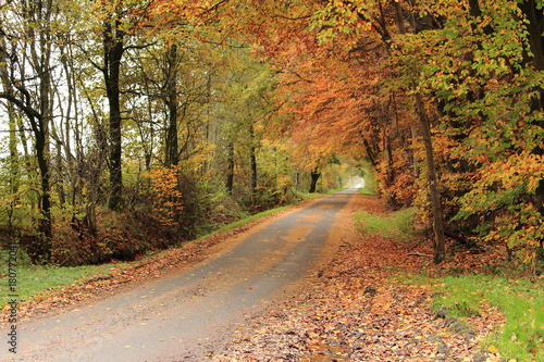 Ländliche Straße im Herbst