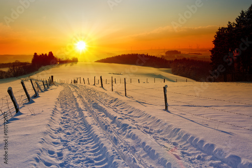 Winter sunset landscape with trees and field road.