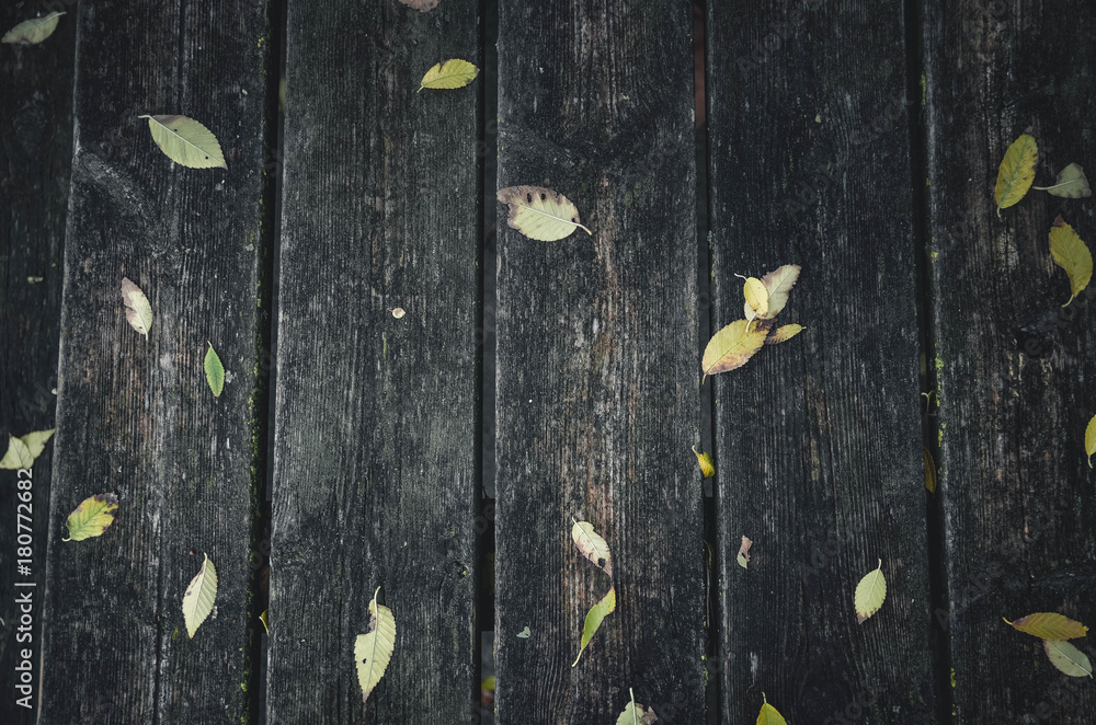 background, texture, autumn with leaves background, texture, autumn with leaves