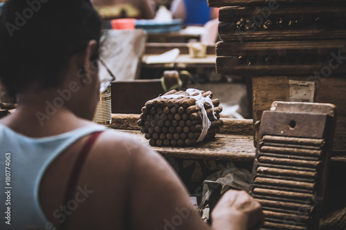 Photography Closeup of hands making cigar from tobacco leaves