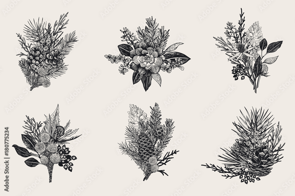 Naklejka premium Winter set. Floral christmas bouquets. Evergreen, cone, succulents, flowers, leaves, berries. Botanical vector vintage illustration. Black and white