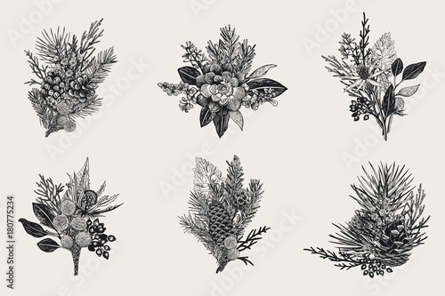 Winter set. Floral christmas bouquets. Evergreen, cone, succulents, flowers, leaves, berries. Botanical vector vintage illustration. Black and white