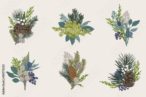 Winter set. Floral christmas bouquets. Evergreen  cone  succulents  flowers  leaves  berries. Botanical vector vintage illustration. Colorful