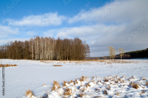 Rural winter landscape..