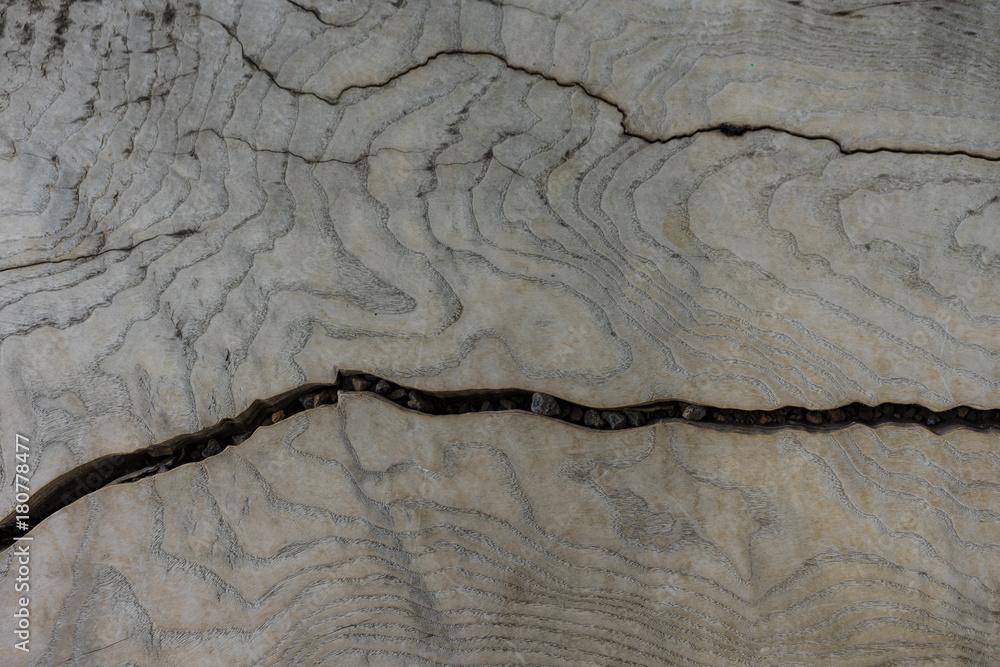 wood tree trunk strucutre with vertical crack wood tree trunk strucutre with vertical crack