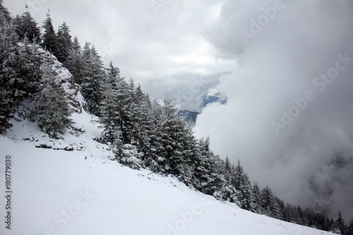 Snowy forest in the mountains surrounded by clouds
