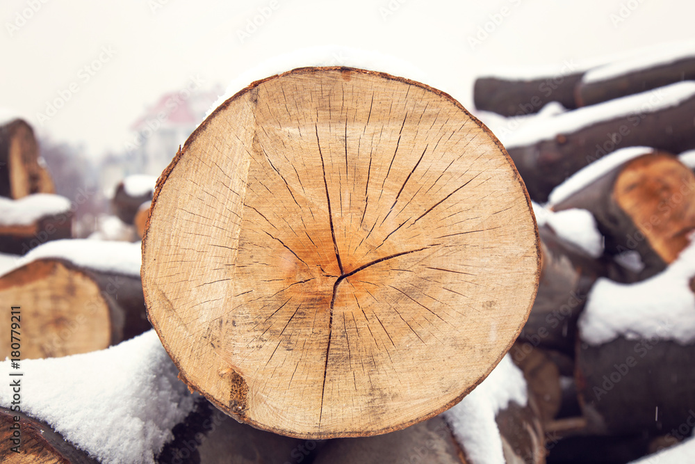 Winter Texture Pattern Background. Firewood Covered with Snow. Winter Texture Pattern Background. Firewood Covered with Snow.