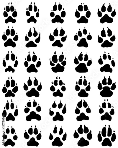 Black print of dogs paws on white background, vector