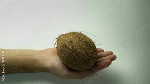 Coconut on the hand