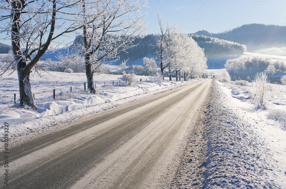 Road during the winter Road during the winter