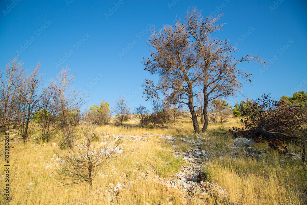 wunderschöne Wild-West Balkan Küsten Landschaft mit gelbem Gras, paradiesischer Küste und idyllischen Inseln wunderschöne Wild-West Balkan Küsten Landschaft mit gelbem Gras, paradiesischer Küste und idyllischen Inseln