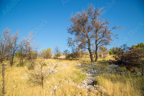 wunderschöne Wild-West Balkan Küsten Landschaft mit gelbem Gras, paradiesischer Küste und idyllischen Inseln