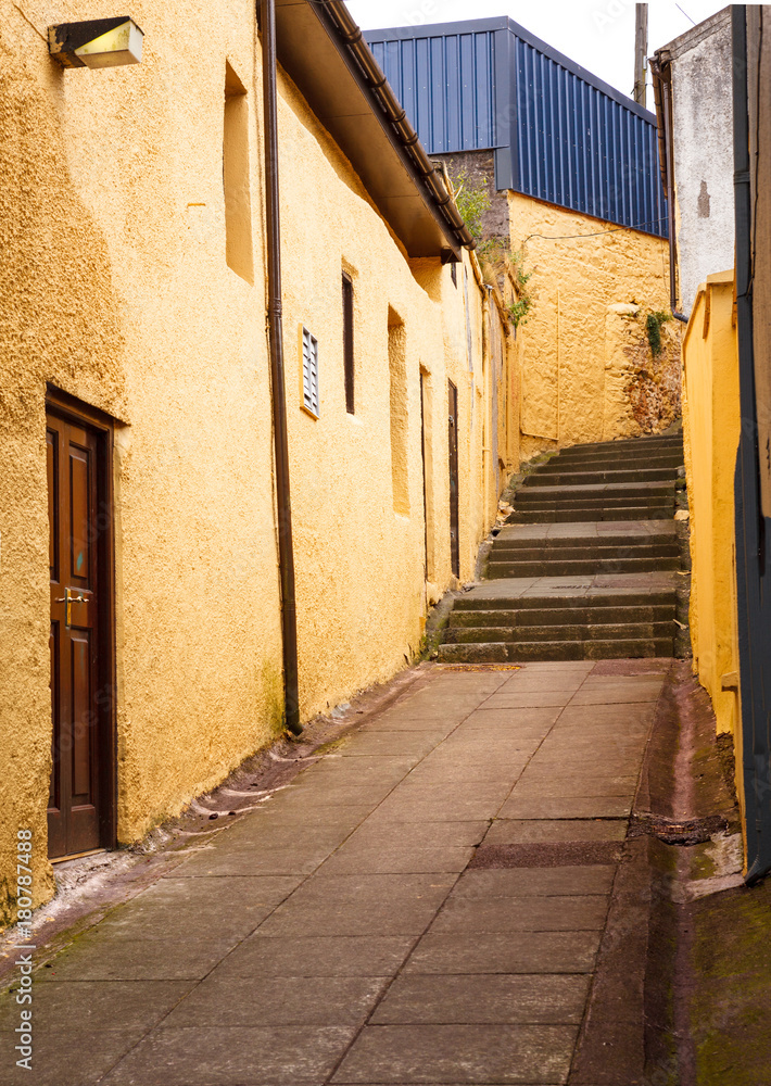 Fototapeta premium Alleyway Staircase in Ireland