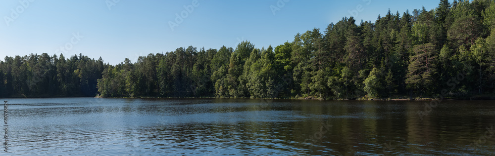 The river and forest. Summer day. Panoramic shot