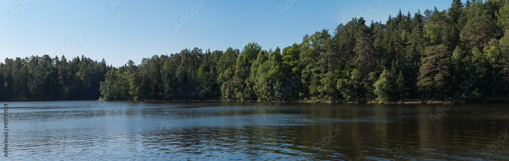 The river and forest. Summer day. Panoramic shot The river and forest. Summer day. Panoramic shot