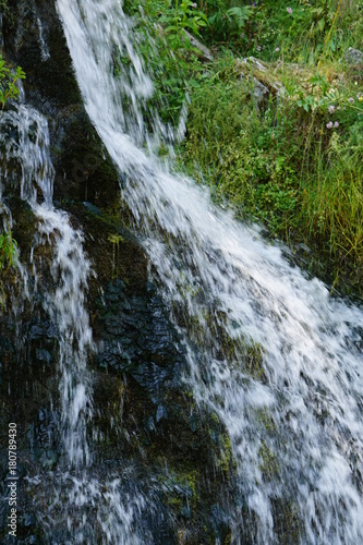 Summer nature