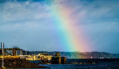 Puget Sound Rainbow