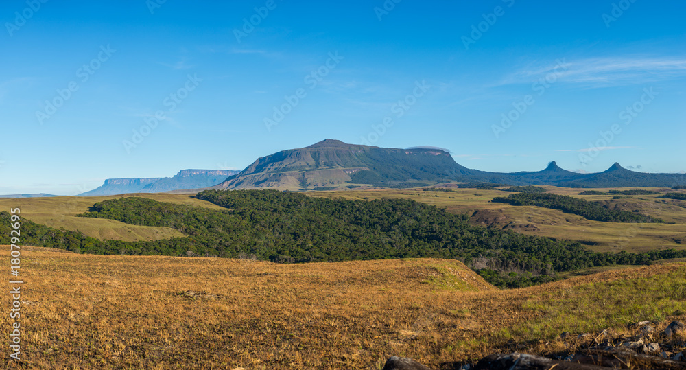 Obraz premium Morning view of Wei tepuy (The Mountain of the Sun, in local language), in Canaima Natinal Park, Venezuela