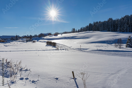 Winter landscape and trails for skiers photo