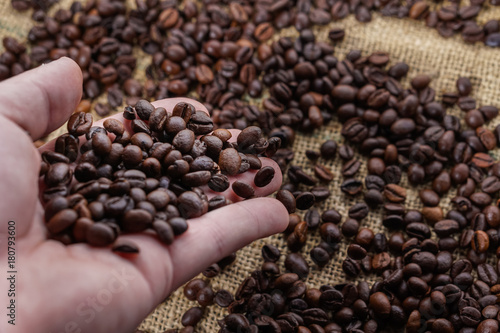 Coffee beans in heand with blured background