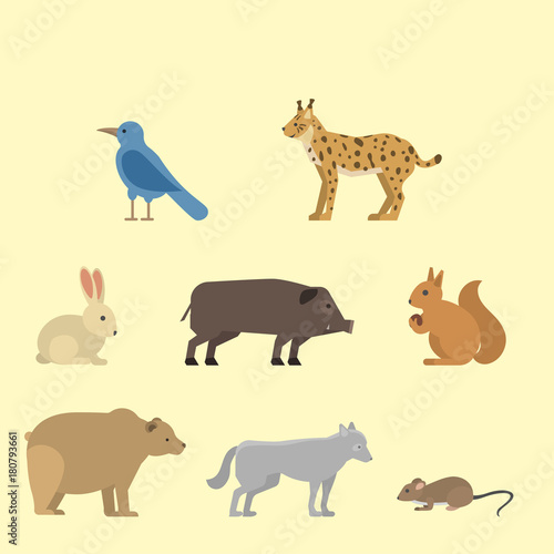 Different wild animals dangerous vertebrate canine characters large predator vector illustration.