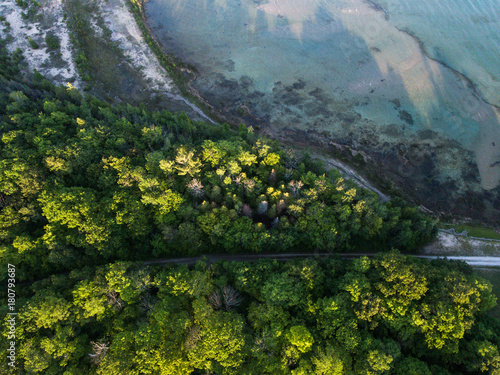 A Green Tree Line at the Lake