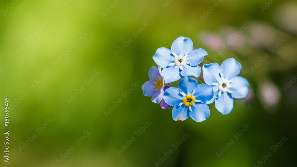 Pretty Little Blues Pretty Little Blues