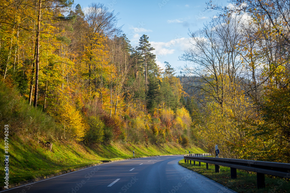 Fototapeta premium Autumn road with yellow forest and trees on hills