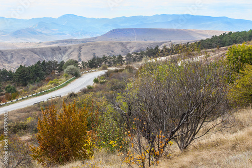 mountain view with road