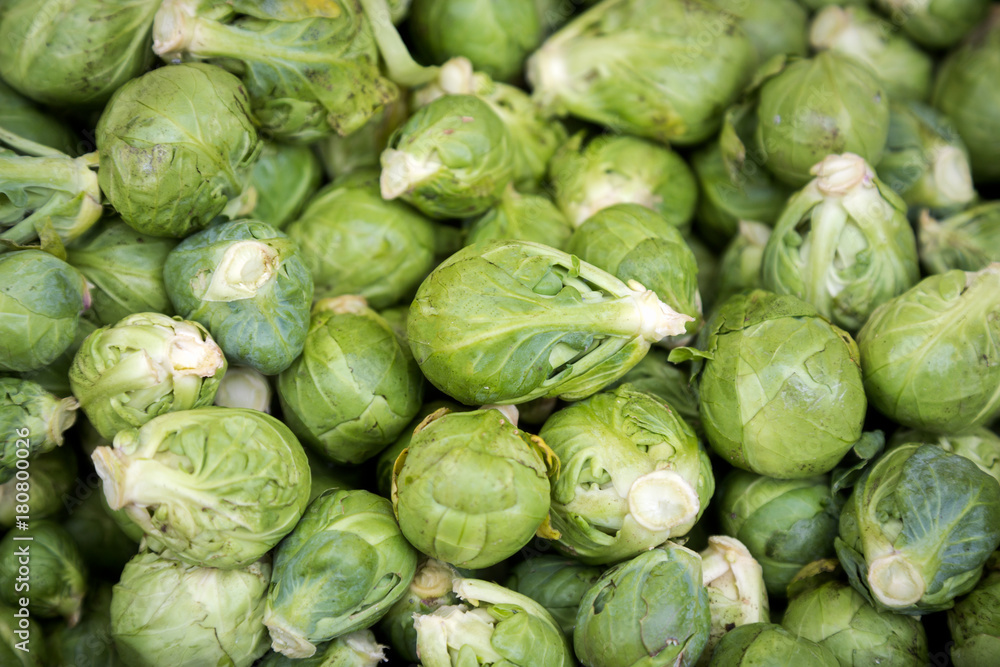Fresh Organic Brussel Sprouts at a Local Farmer's Market Fresh Organic Brussel Sprouts at a Local Farmer's Market