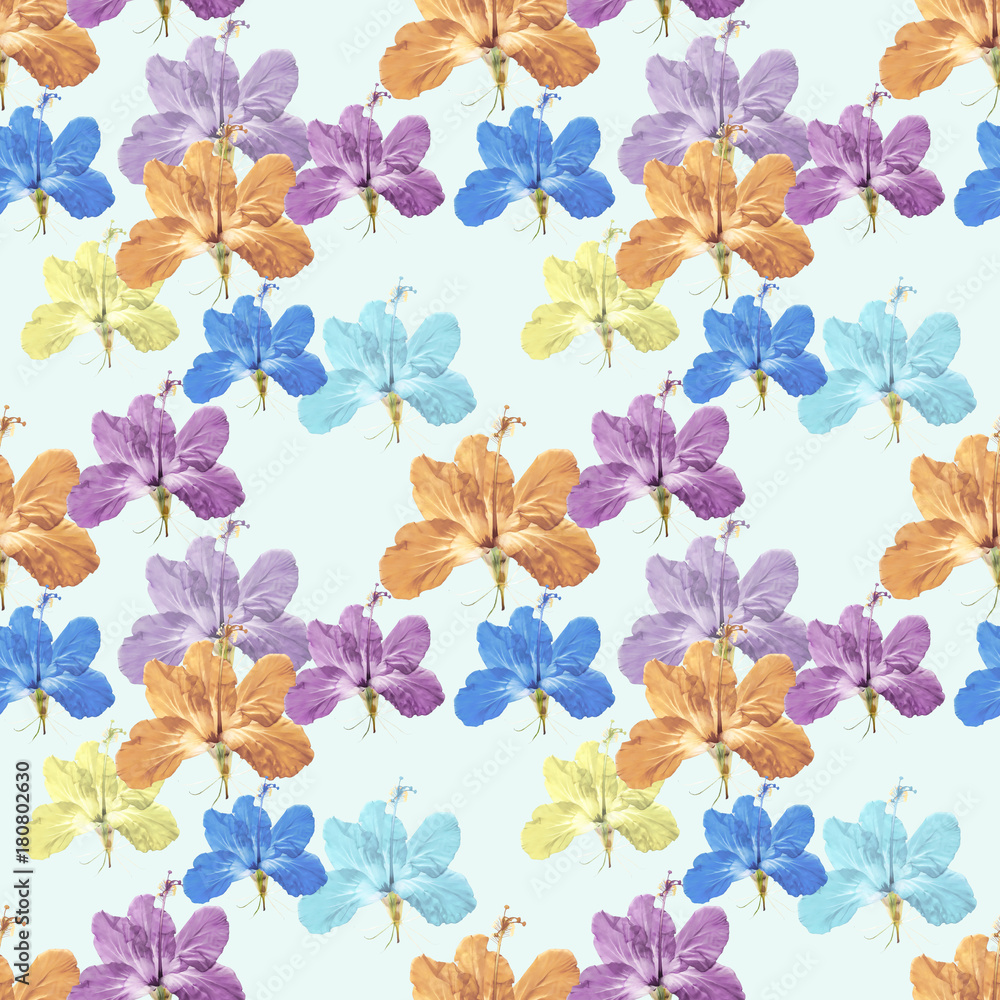 Hibiscus. Seamless pattern texture of flowers. Floral background, photo collage