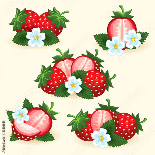 Fototapeta Naklejka Na Ścianę i Meble -  Strawberry freshness fruit set with fresh slice, leaves and flowers for logo and labels vector illustration