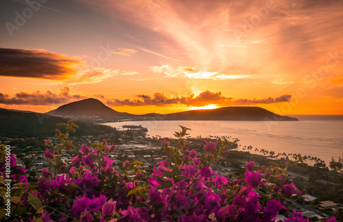 Flowery Sunrise 