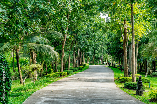 Road in the park